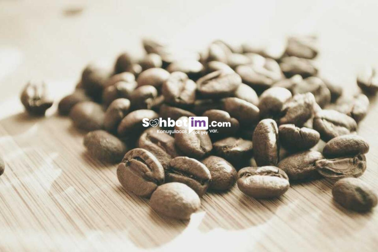 Chat Random Sohbet ve Görüntülü Chat Platformu