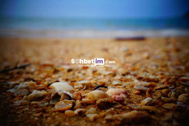 Geveze Sohbet Odaları ile Online Chat Deneyimi Başlat