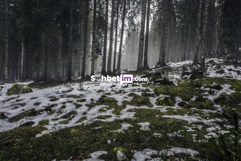 Liseli Chat Sitesi ile Mobil Sohbet Yapmaya Başla