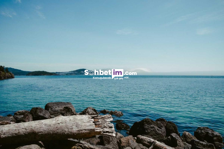 Whatsapp Sohbet Linkleri ile Chat Gruplarına Katıl