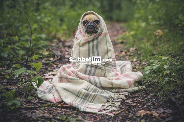 Chat Random Sitesi ile Görüntülü Sohbet Odasına Katıl