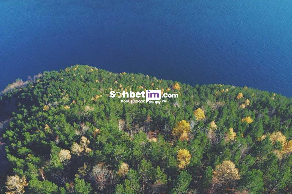 Chat Sitesi Girişi ile Mobil Sohbet Odaları