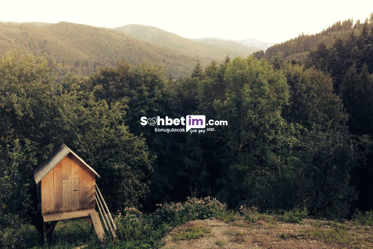 Görüntülü Sohbet Keyfi ve Sesli Chat Odası Giriş Linki