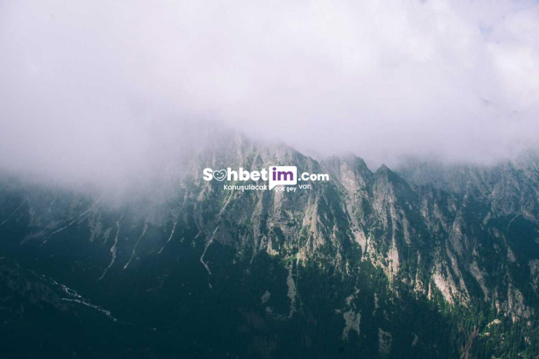 Mobil Chat Platformu ve Sanal Sohbet Odaları