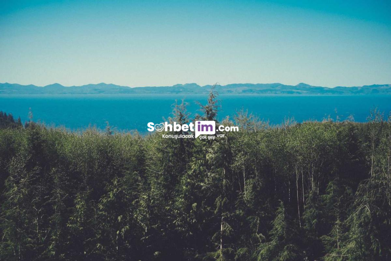 Omegle Görüntülü Sohbet ve Mobil Chat Kanalları