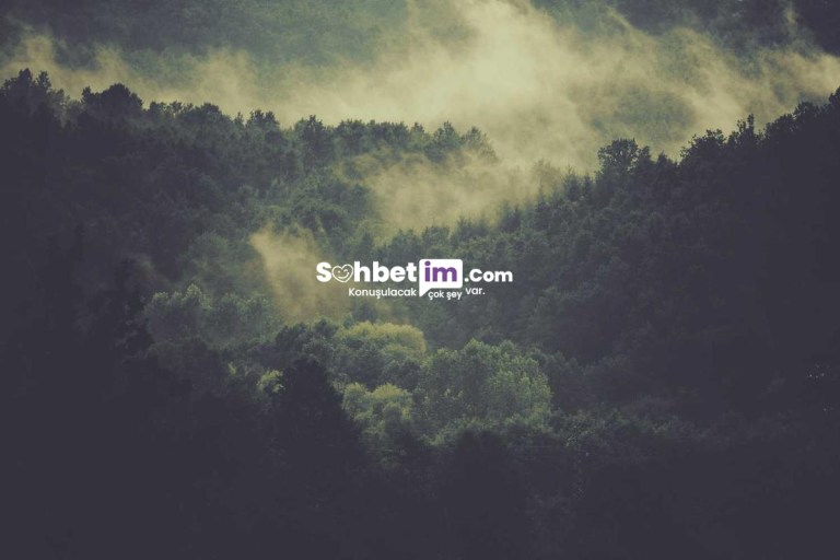 Omegle Görüntülü Sohbet ve Sanal Chat Odası