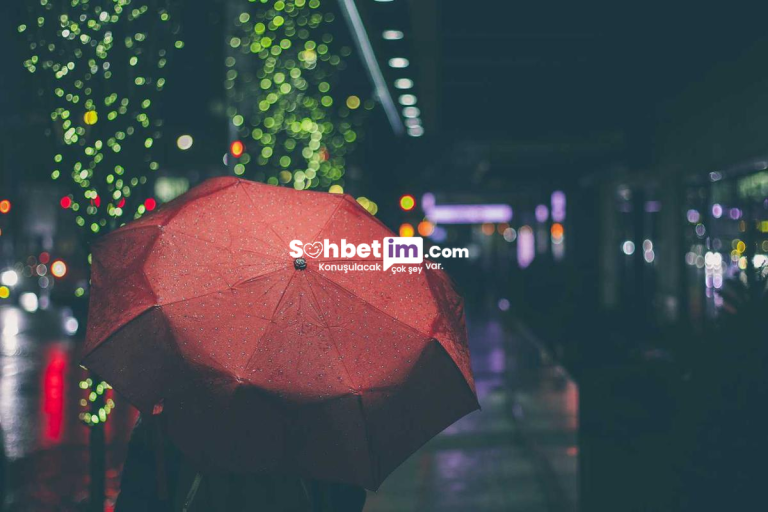 Omegle Sohbet Sitesi ve Görüntülü Chat Odaları