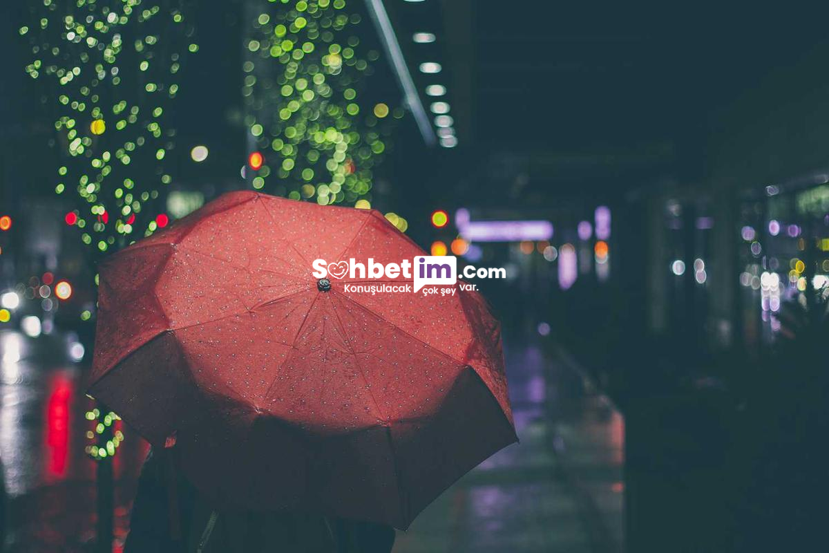 Omegle Sohbet Sitesi ve Görüntülü Chat Odaları