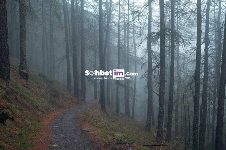 Sesli Sohbet Platformu ve Mobil Chat Odası Keyfi Gir