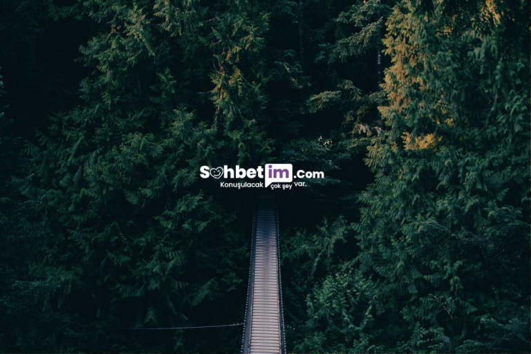 Siber Alem Chat Odaları ve Sanal Sohbet Hattı