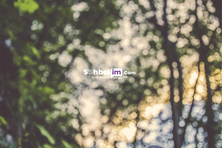 Siber Alem Chat Sitesi ve Sanal Sohbet Girişi