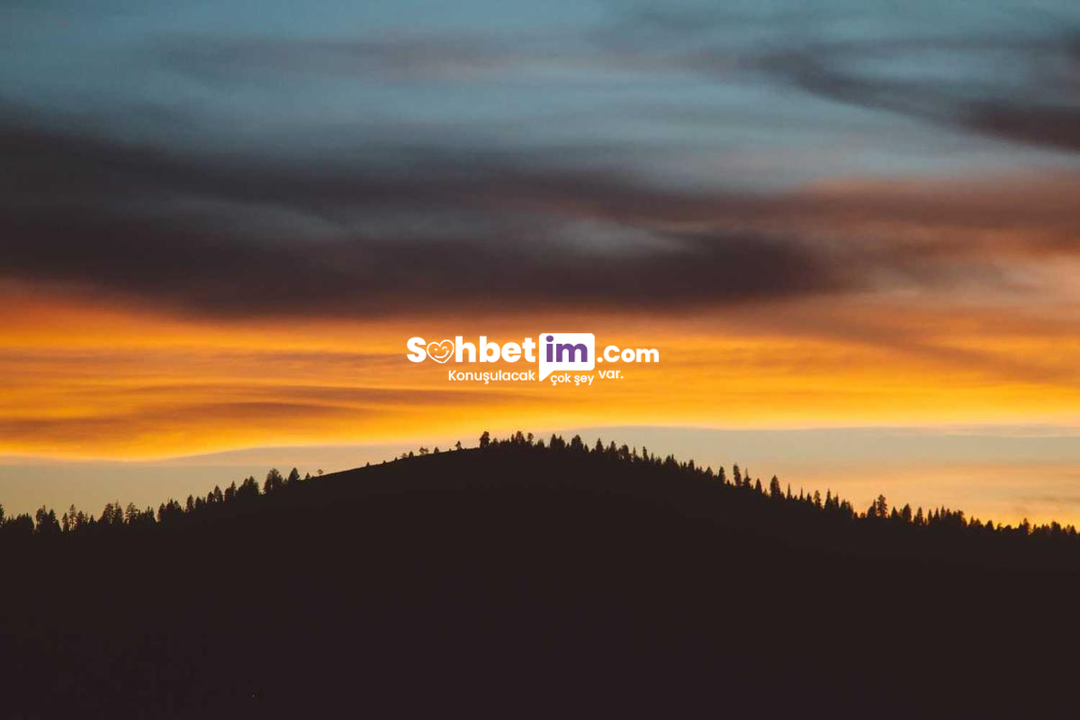 Sohbet Odaları Sayesinde Yeni Arkadaşlar Bulun