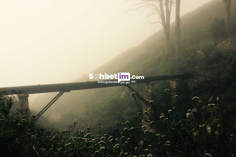 Sohbet Odaları Üzerinden Mobil Chat Keyfi Yaşa