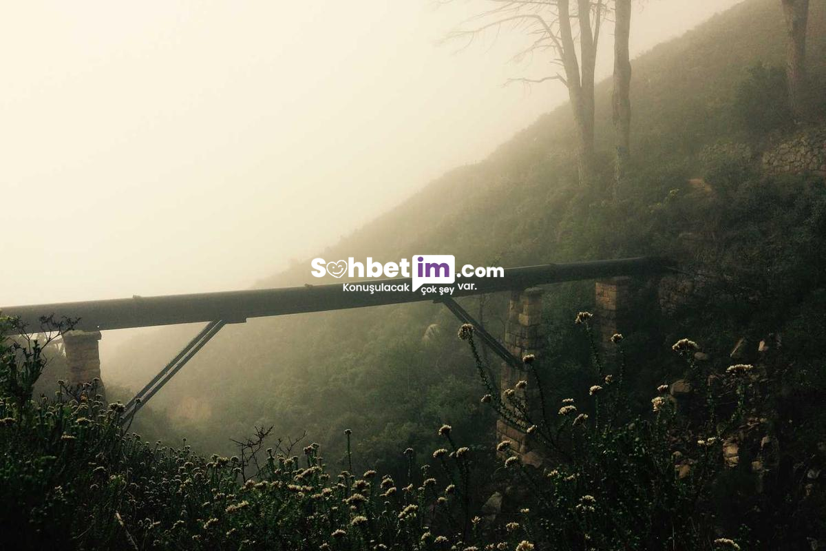 Sohbet Odaları Üzerinden Mobil Chat Keyfi Yaşa