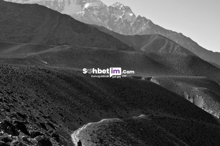 Telegram Chat Kanalları ile Online Sohbetlere Başla