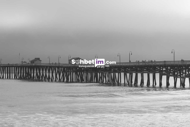 Telegram Sohbet Odaları ve Online Chat Sitesi