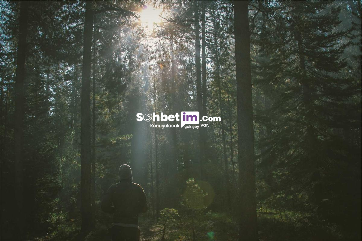 Bizim Mekan Chat Sayesinde Sohbet Keyfine Başla