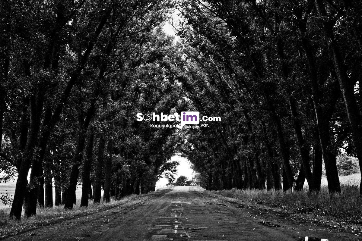 Chat Sitesi Girişi ile Mobil Sohbet Başlatın Süratle