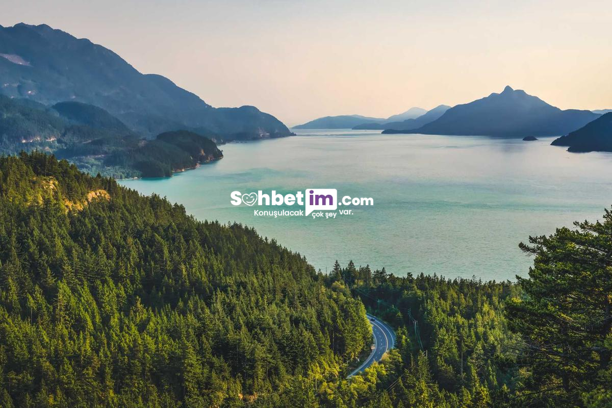 Chat Sitesi Sayesinde Yeni Arkadaşlıklar Edinmeye Bak