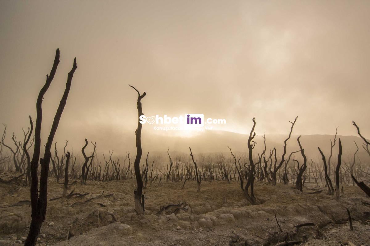 Geveze Sohbet Odaları ile Kesintisiz Mobil Chat Yap