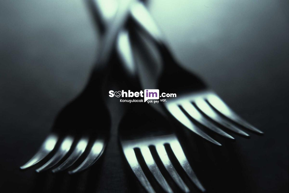 Omegle Görüntülü Sohbet ve Mobil Chat Odası