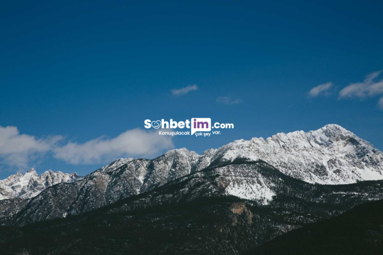 Omegle Sohbet Sitesi ve Görüntülü Chat Girişi Hemen Yap