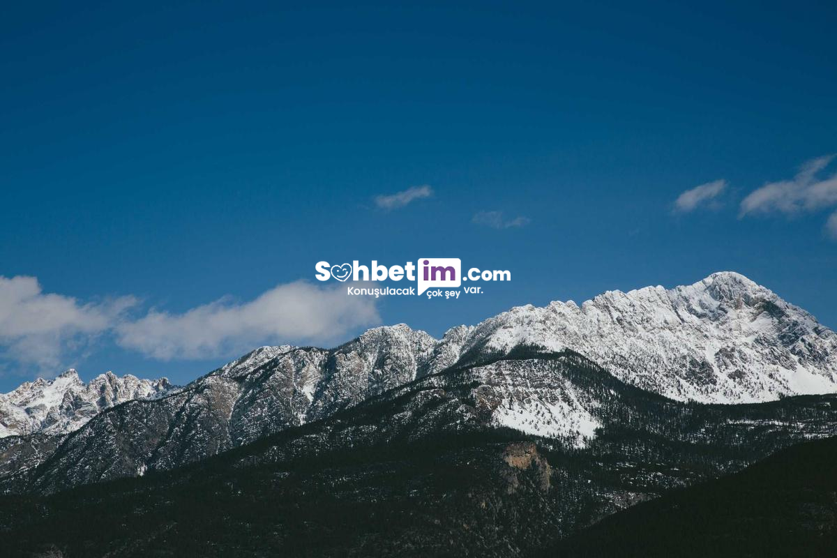 Omegle Sohbet Sitesi ve Görüntülü Chat Girişi Hemen Yap