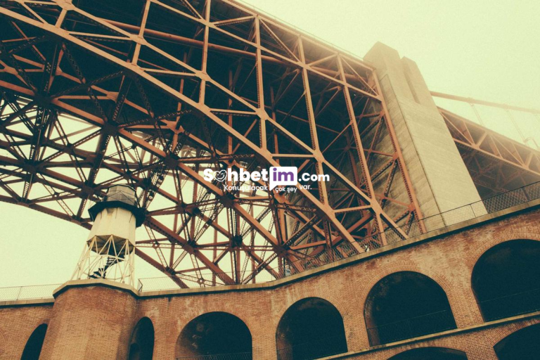 Yuzuk Chat Mobil Sohbet ve Sanal Chat Odaları