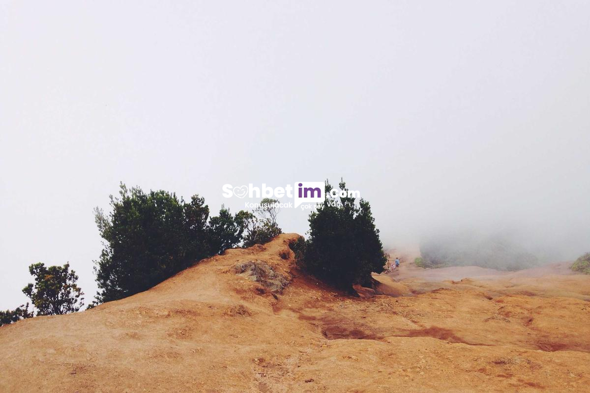 Geveze Sohbet Kanalları ve Mobil Chat Odaları