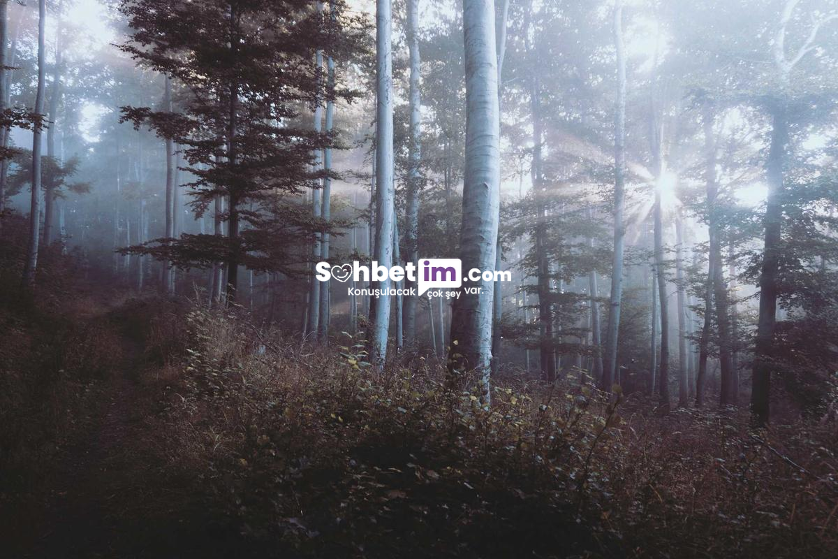 Mobil Sohbet Kanalları ve Sanal Chat Deneyimi