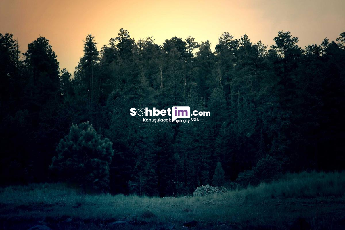 Omegle Görüntülü Sohbet ve Mobil Chat Platformu Giriş