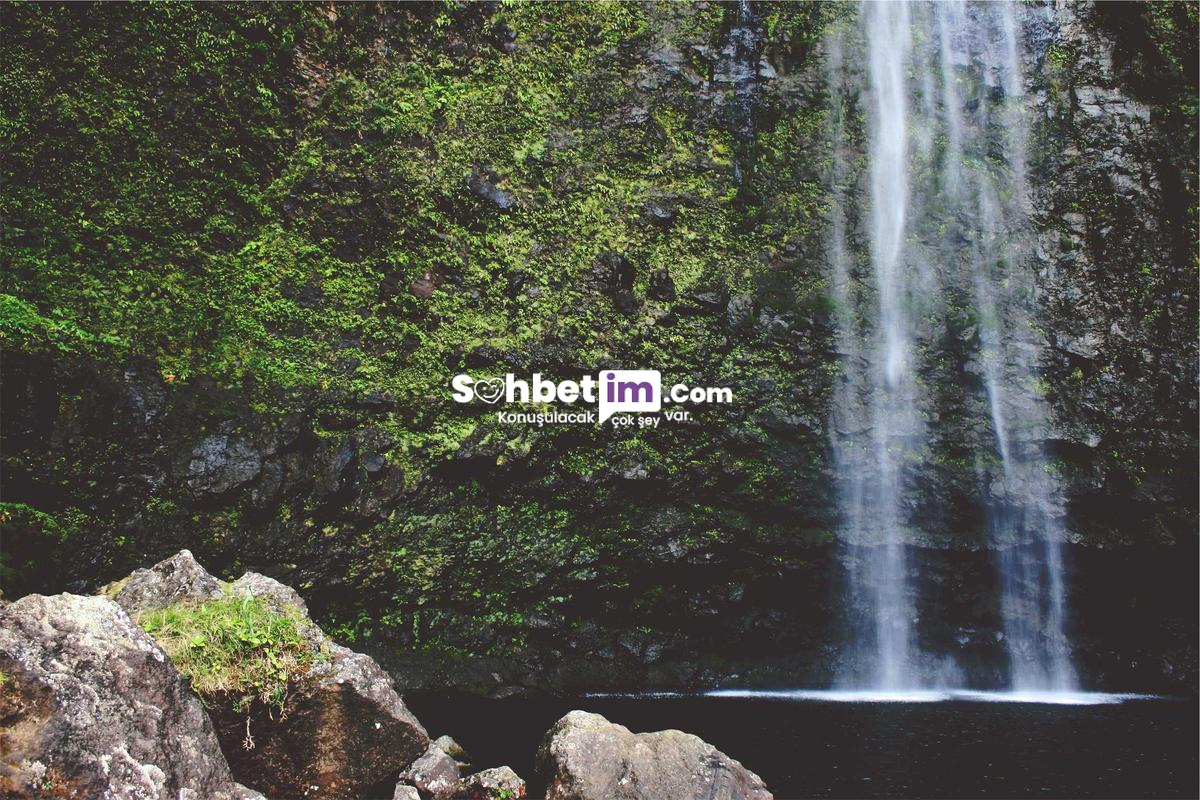 Sanal Chat Odaları İçinde Kesintisiz Sohbet Edin