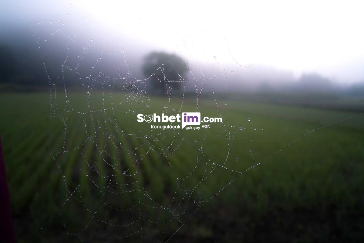 Sohbet Odaları Sayesinde Sanal Chat Yapın